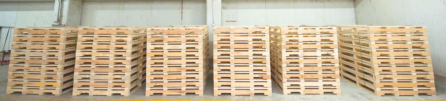 Mega Teamway factory photo